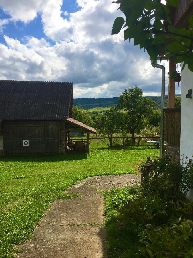Miklos Lak Ocna de Sus Exterior photo